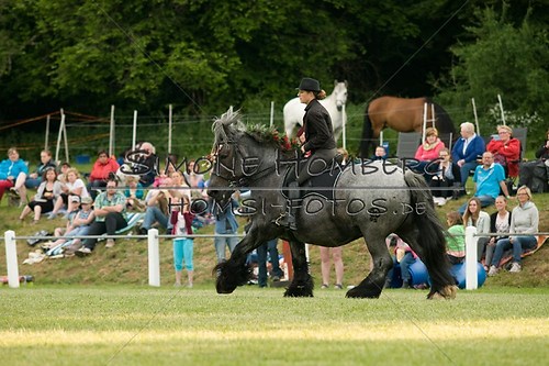 (c)SimoneHomberg_Ponyfest_Schauprogramm_20150606_0146