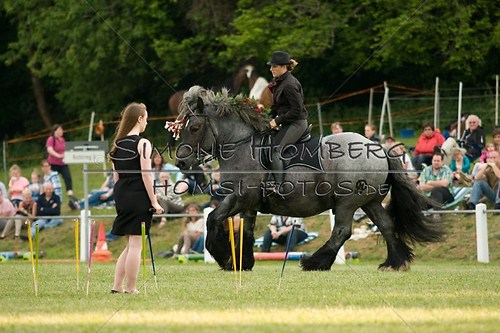 (c)SimoneHomberg_Ponyfest_Schauprogramm_20150606_0147