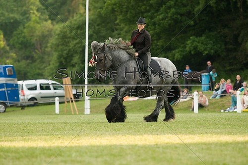 (c)SimoneHomberg_Ponyfest_Schauprogramm_20150606_0148