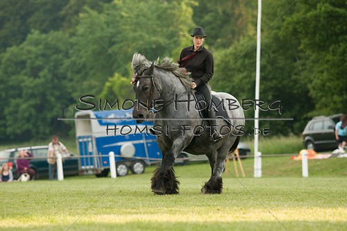 (c)SimoneHomberg_Ponyfest_Schauprogramm_20150606_0149