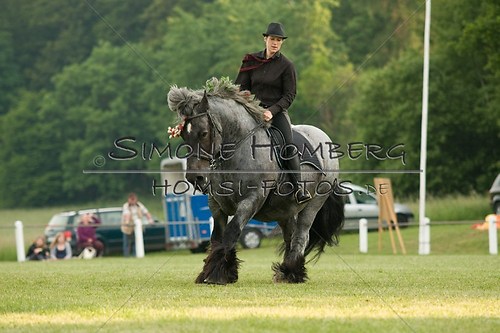 (c)SimoneHomberg_Ponyfest_Schauprogramm_20150606_0150
