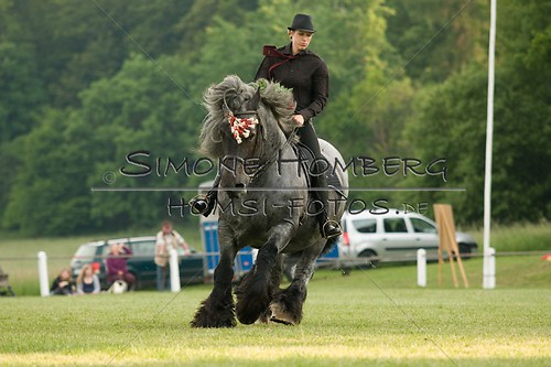 (c)SimoneHomberg_Ponyfest_Schauprogramm_20150606_0151