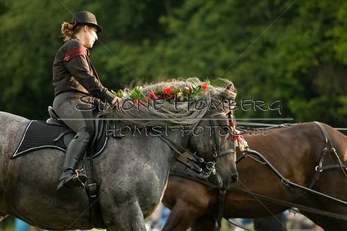 (c)SimoneHomberg_Ponyfest_Schauprogramm_20150606_0152