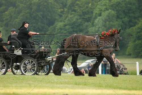 (c)SimoneHomberg_Ponyfest_Schauprogramm_20150606_0154
