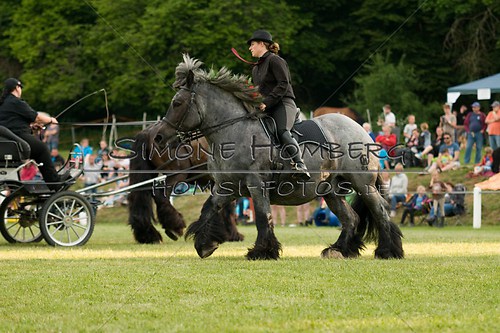 (c)SimoneHomberg_Ponyfest_Schauprogramm_20150606_0155