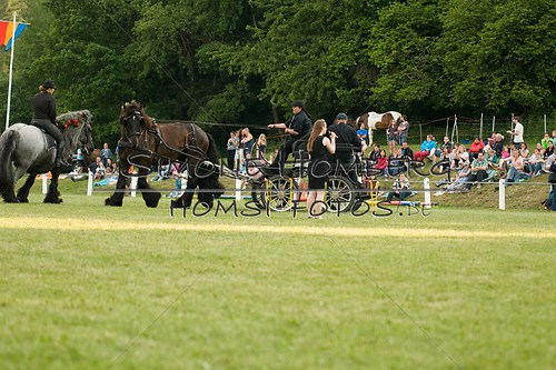 (c)SimoneHomberg_Ponyfest_Schauprogramm_20150606_0157