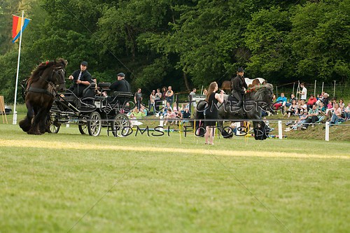 (c)SimoneHomberg_Ponyfest_Schauprogramm_20150606_0158