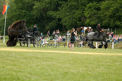 (c)SimoneHomberg_Ponyfest_Schauprogramm_20150606_0159