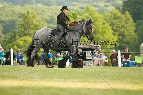 (c)SimoneHomberg_Ponyfest_Schauprogramm_20150606_0160