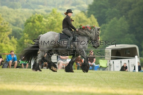 (c)SimoneHomberg_Ponyfest_Schauprogramm_20150606_0161
