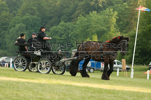 (c)SimoneHomberg_Ponyfest_Schauprogramm_20150606_0162
