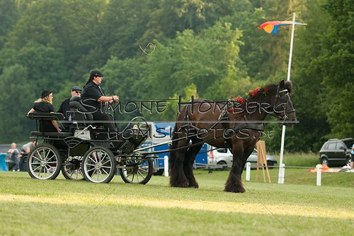 (c)SimoneHomberg_Ponyfest_Schauprogramm_20150606_0163
