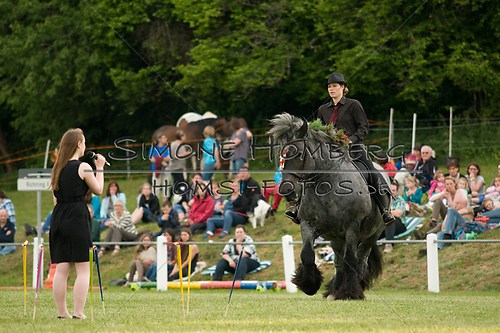 (c)SimoneHomberg_Ponyfest_Schauprogramm_20150606_0164