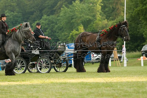 (c)SimoneHomberg_Ponyfest_Schauprogramm_20150606_0165