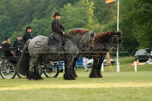 (c)SimoneHomberg_Ponyfest_Schauprogramm_20150606_0166