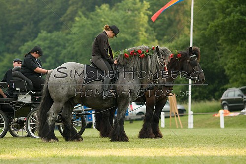 (c)SimoneHomberg_Ponyfest_Schauprogramm_20150606_0167