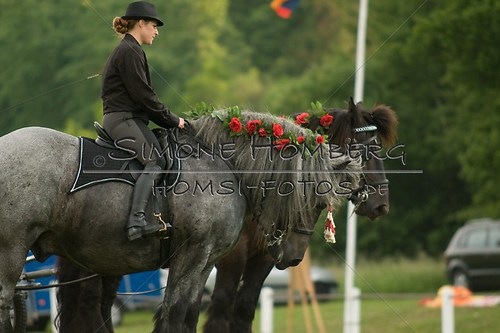(c)SimoneHomberg_Ponyfest_Schauprogramm_20150606_0168