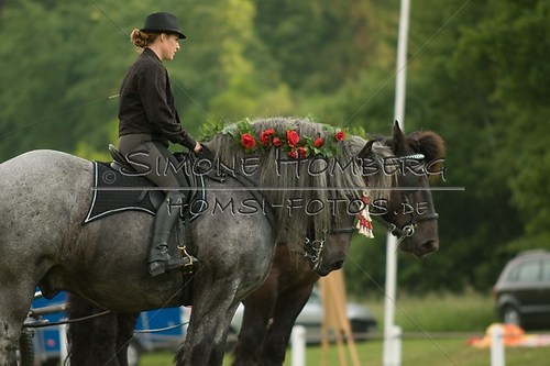 (c)SimoneHomberg_Ponyfest_Schauprogramm_20150606_0169