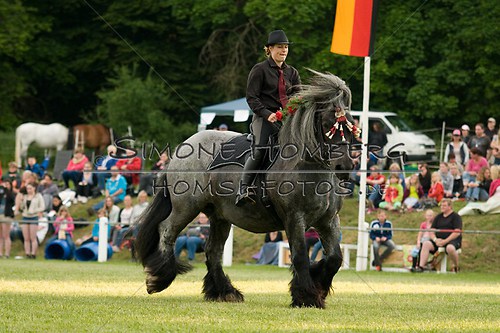 (c)SimoneHomberg_Ponyfest_Schauprogramm_20150606_0170