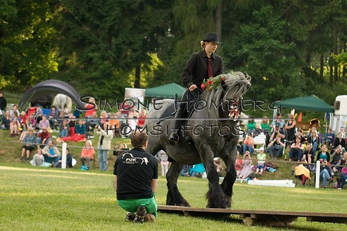 (c)SimoneHomberg_Ponyfest_Schauprogramm_20150606_0171
