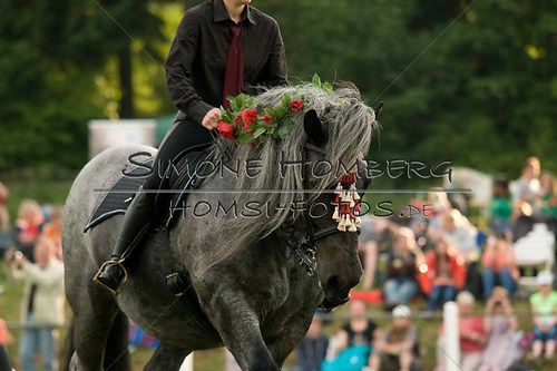 (c)SimoneHomberg_Ponyfest_Schauprogramm_20150606_0172