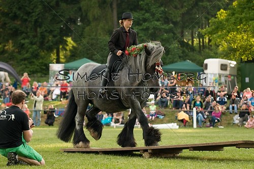 (c)SimoneHomberg_Ponyfest_Schauprogramm_20150606_0173