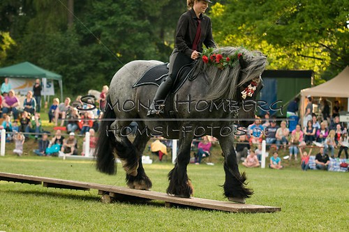 (c)SimoneHomberg_Ponyfest_Schauprogramm_20150606_0175