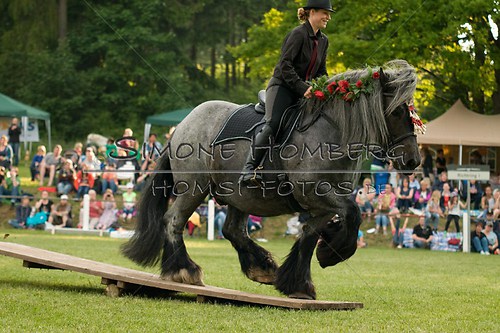 (c)SimoneHomberg_Ponyfest_Schauprogramm_20150606_0176