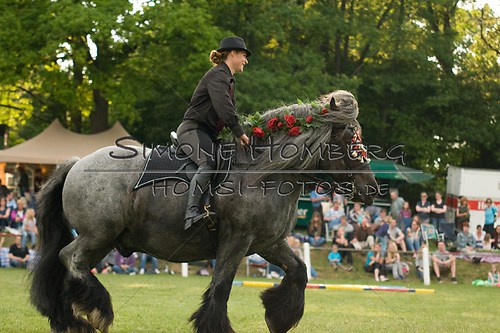 (c)SimoneHomberg_Ponyfest_Schauprogramm_20150606_0177