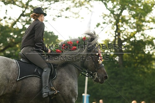 (c)SimoneHomberg_Ponyfest_Schauprogramm_20150606_0178