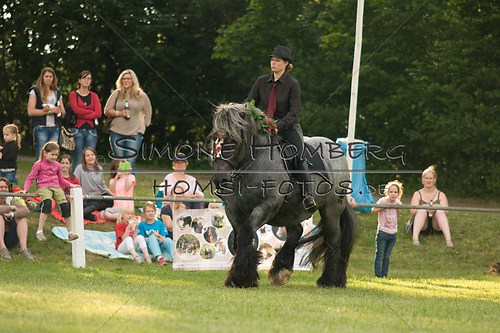(c)SimoneHomberg_Ponyfest_Schauprogramm_20150606_0180