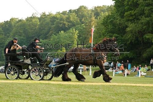 (c)SimoneHomberg_Ponyfest_Schauprogramm_20150606_0181