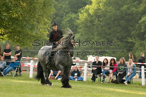 (c)SimoneHomberg_Ponyfest_Schauprogramm_20150606_0183