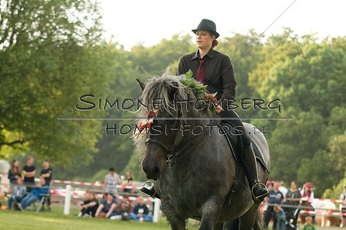 (c)SimoneHomberg_Ponyfest_Schauprogramm_20150606_0186