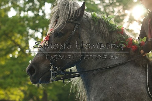 (c)SimoneHomberg_Ponyfest_Schauprogramm_20150606_0189