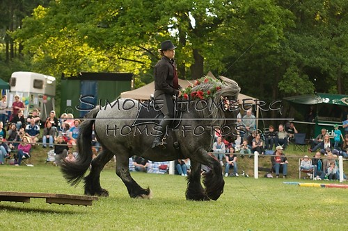 (c)SimoneHomberg_Ponyfest_Schauprogramm_20150606_0191