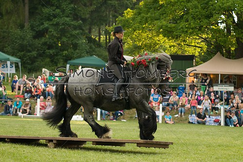 (c)SimoneHomberg_Ponyfest_Schauprogramm_20150606_0192