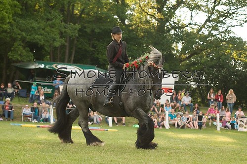 (c)SimoneHomberg_Ponyfest_Schauprogramm_20150606_0193