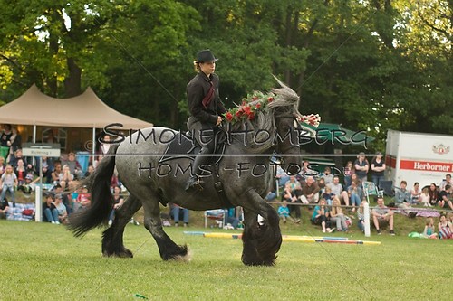 (c)SimoneHomberg_Ponyfest_Schauprogramm_20150606_0194