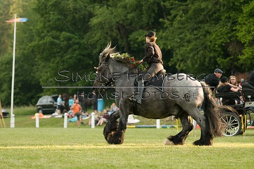 (c)SimoneHomberg_Ponyfest_Schauprogramm_20150606_0195