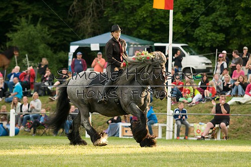 (c)SimoneHomberg_Ponyfest_Schauprogramm_20150606_0196