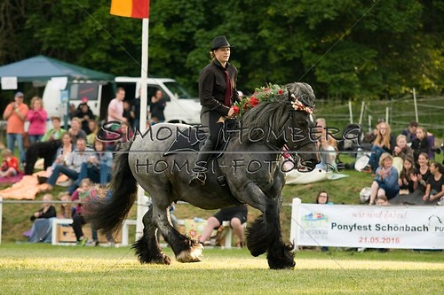 (c)SimoneHomberg_Ponyfest_Schauprogramm_20150606_0197