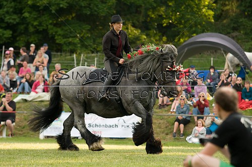 (c)SimoneHomberg_Ponyfest_Schauprogramm_20150606_0198