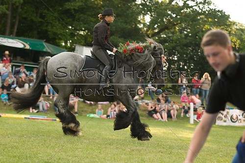 (c)SimoneHomberg_Ponyfest_Schauprogramm_20150606_0199