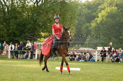(c)SimoneHomberg_Ponyfest_Schauprogramm_20150606_0204