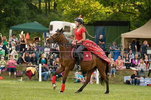 (c)SimoneHomberg_Ponyfest_Schauprogramm_20150606_0216