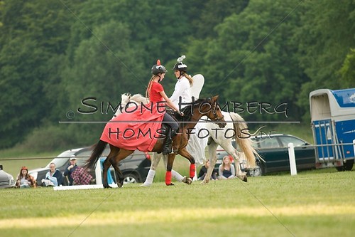 (c)SimoneHomberg_Ponyfest_Schauprogramm_20150606_0218