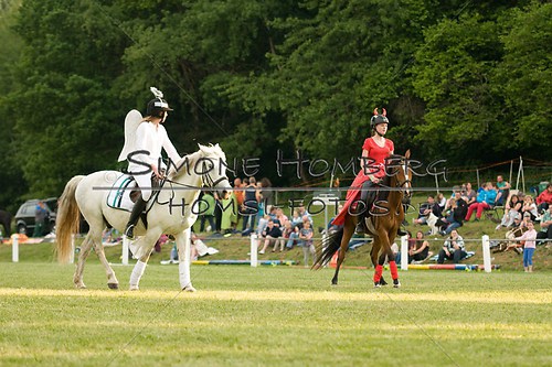 (c)SimoneHomberg_Ponyfest_Schauprogramm_20150606_0225