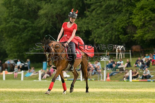 (c)SimoneHomberg_Ponyfest_Schauprogramm_20150606_0231