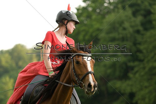 (c)SimoneHomberg_Ponyfest_Schauprogramm_20150606_0233